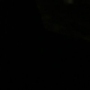 Meet your Posher, Sandy